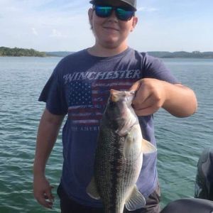 Meet your Posher, Levi